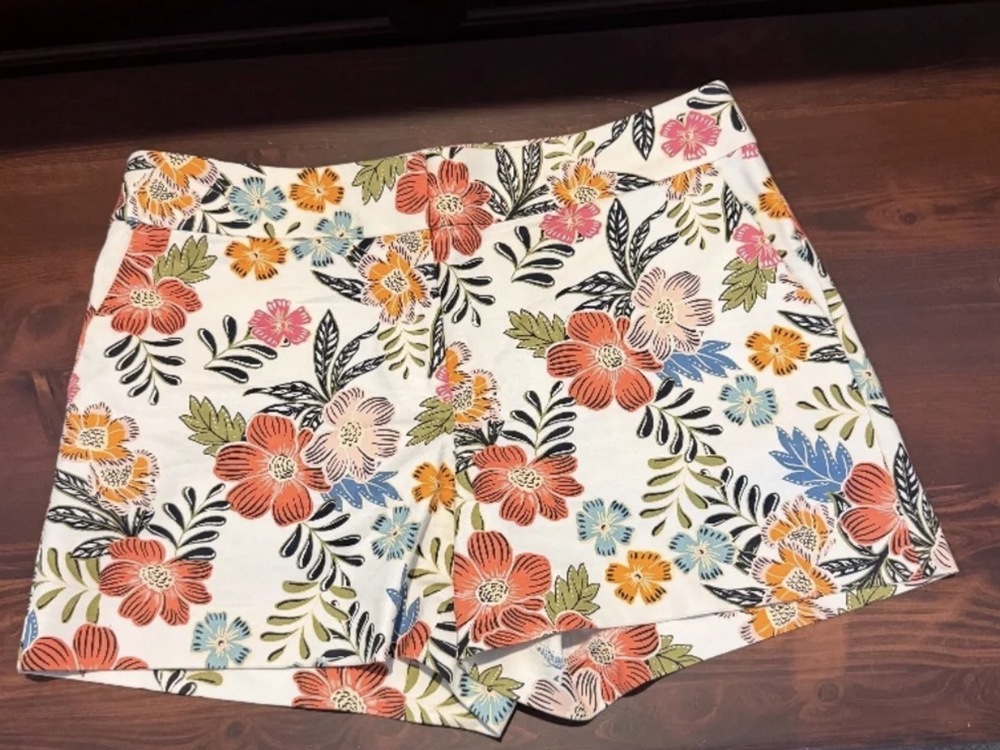 Loft Shorts New w/o tags